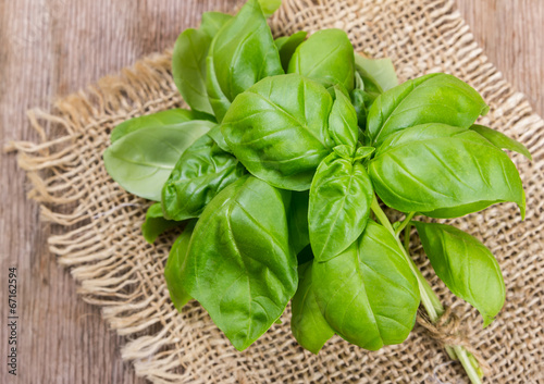 basil  on wooden background