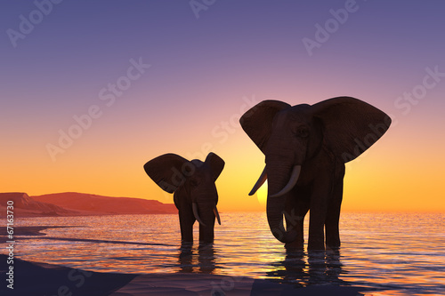 Elephants on the beach.