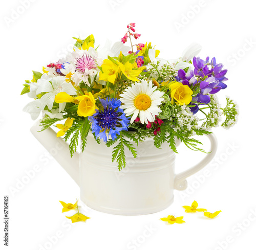 Fototapeta Naklejka Na Ścianę i Meble -  Summer flower