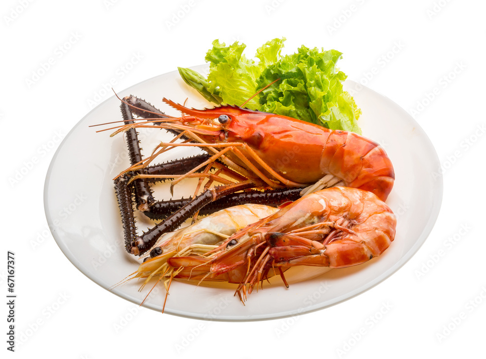 Giant Freshwater Prawn and king prawns