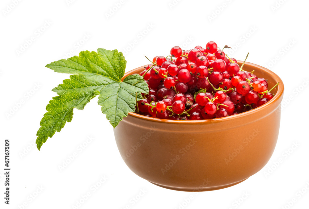 Red currant Red currant