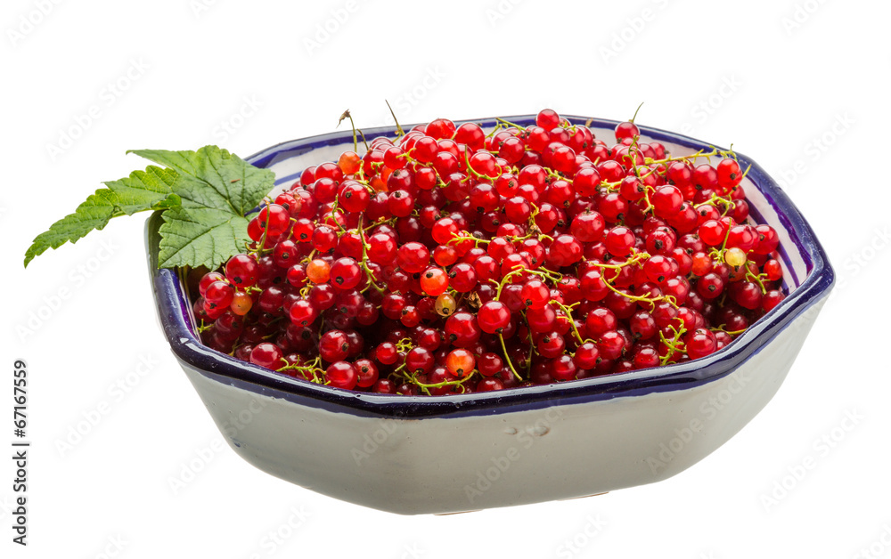Red currant Red currant