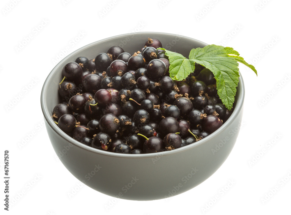 Black currant Black currant