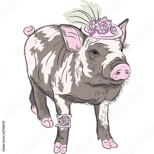 vector fashion funny piggy in beautiful hat wit flowers and gart