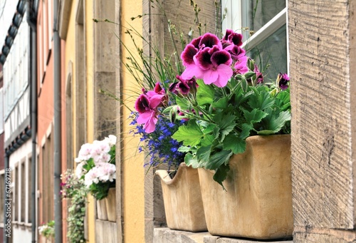 Fototapeta Naklejka Na Ścianę i Meble -  Flowers at the window of a house