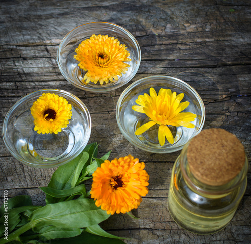 Ringelblumen zur Verwendung in der Naturheilkunde