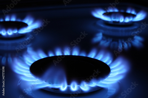 Blue flames of a gas stove