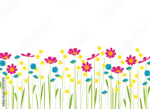 meadow