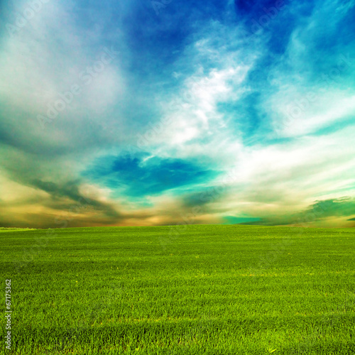 grass green field and blue sky