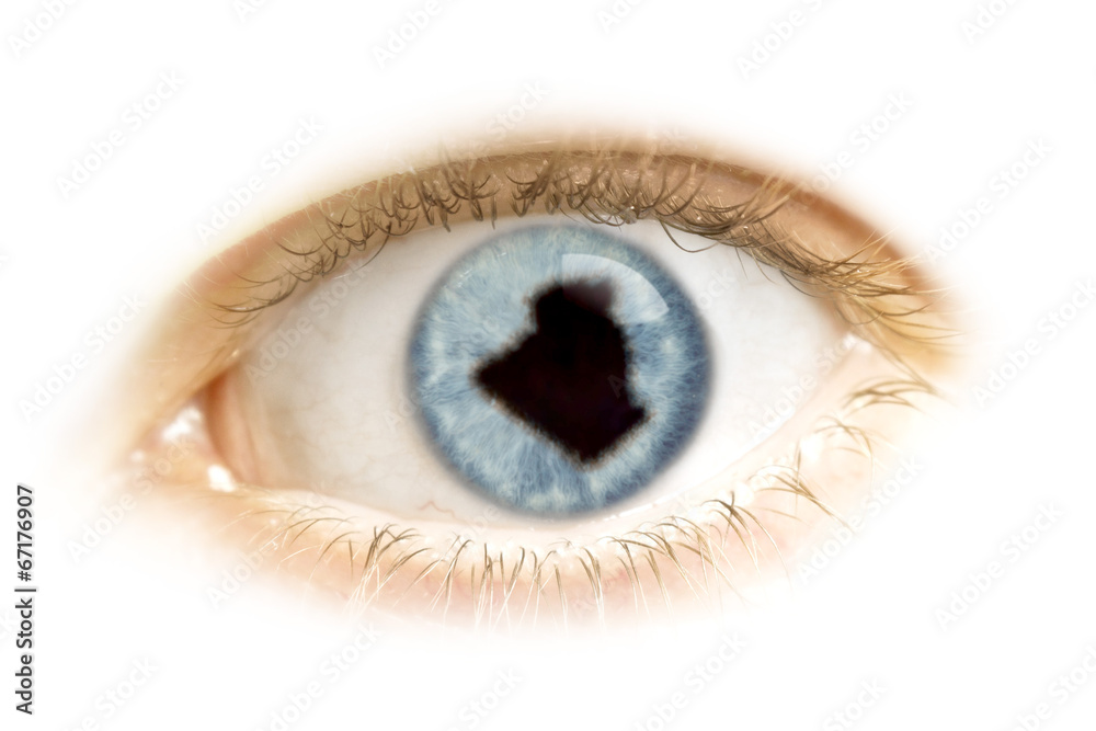 Close-up of an eye with the pupil in the shape of Algeria.(serie Close-up of an eye with the pupil in the shape of Algeria.(serie