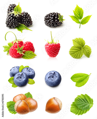 Fototapeta Naklejka Na Ścianę i Meble -  Raspberry, Blackberry,Blueberry and Hazelnuts