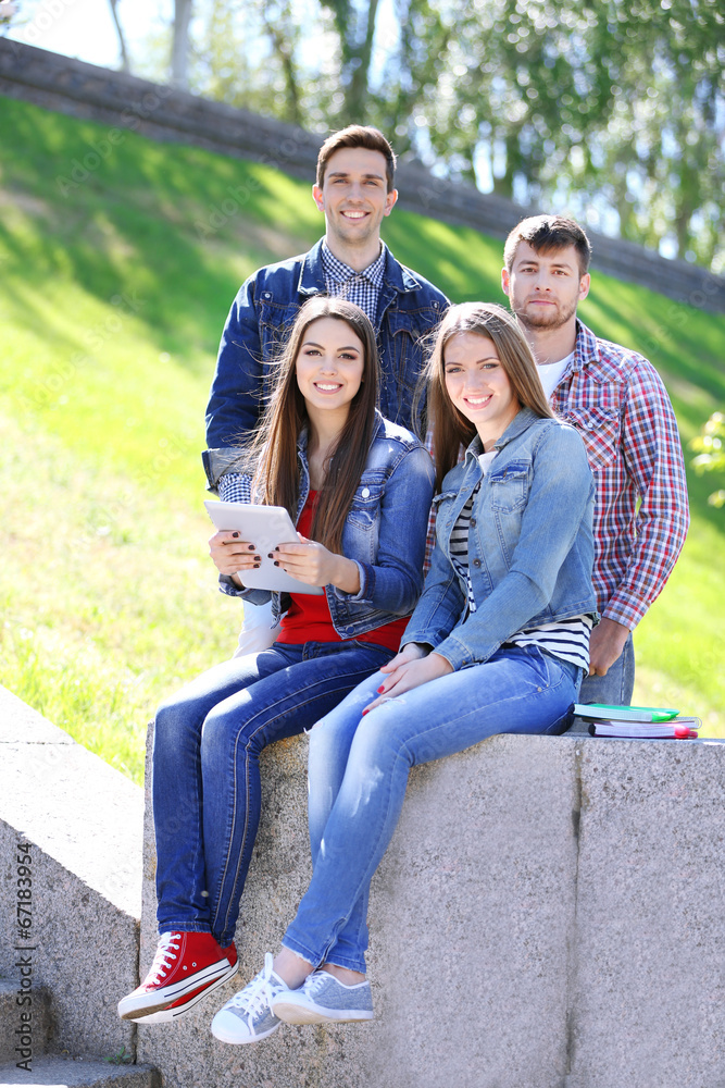 Fototapeta premium Happy students sitting in park