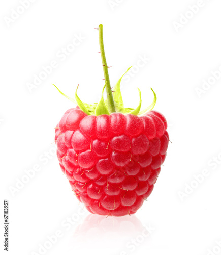 Red berry raspberry isolated