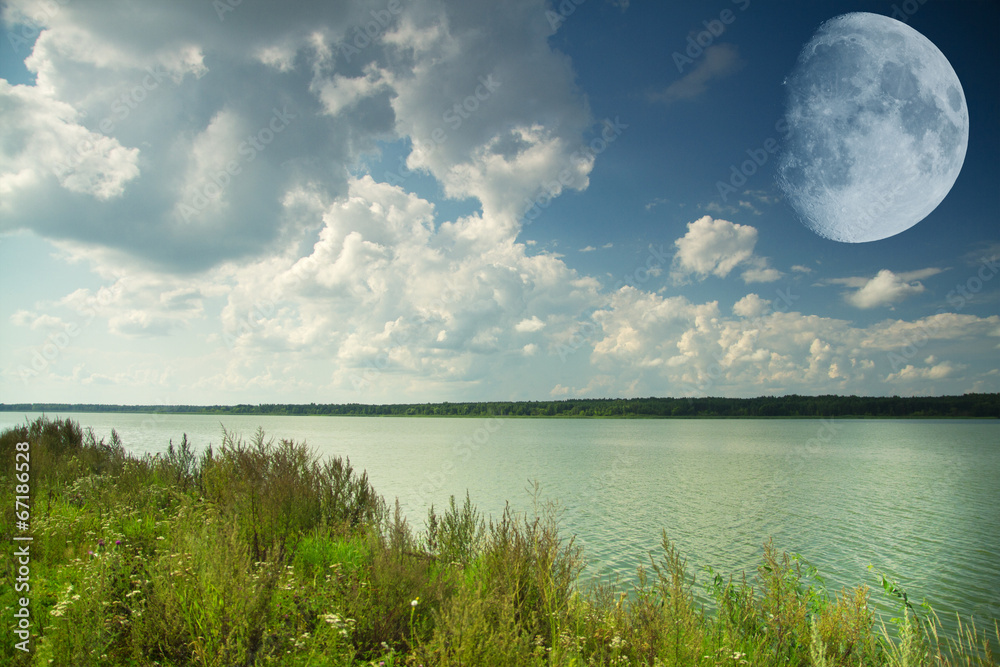Fototapeta premium park in the summer