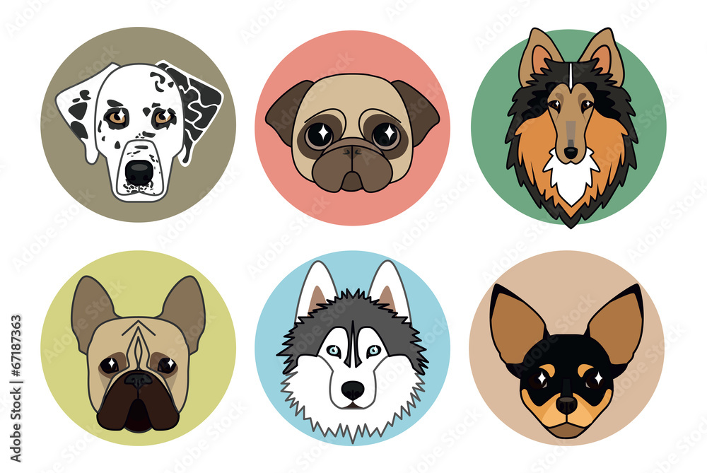 vector icons of different breeds of dogs