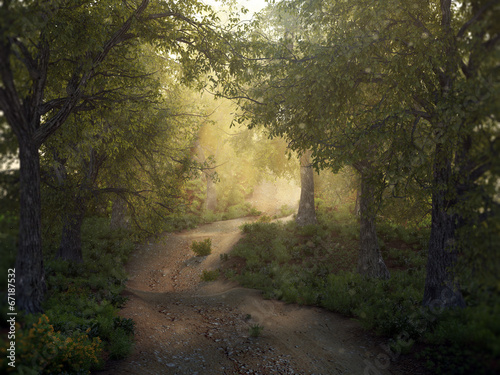 Mysty forest path