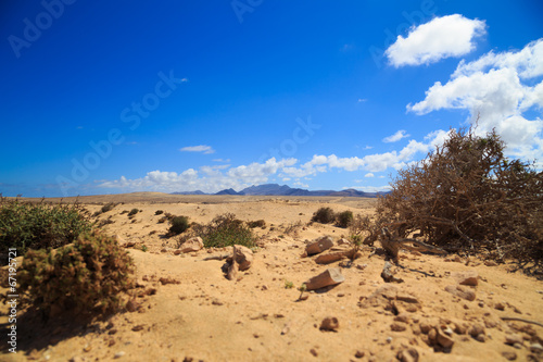 Fuerteventura Wüste