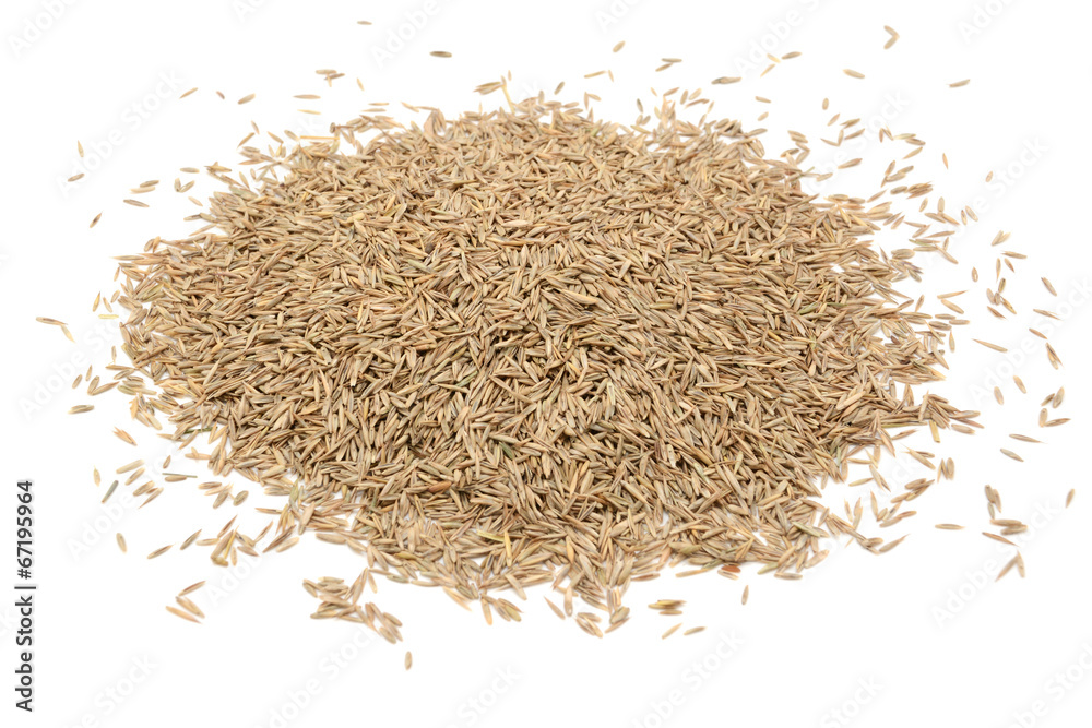 Grass seed Grass seed