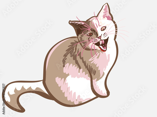 vector lilac  British cat meows dissatisfied