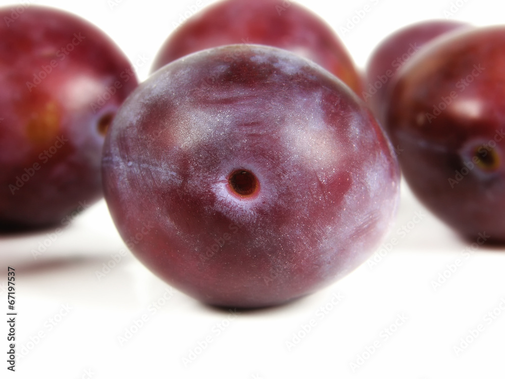 Obraz premium Pflaume auf weißem Hintergrund