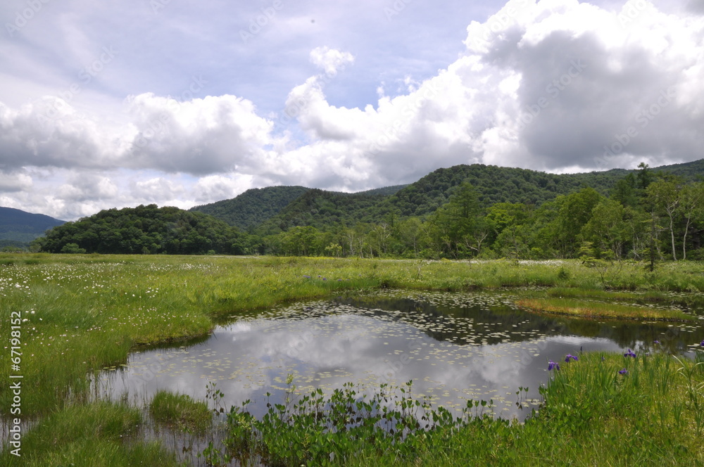 沼 湿地 尾瀬ヶ原 沼 湿地 尾瀬ヶ原