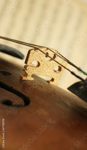 Beautiful violin © solotry