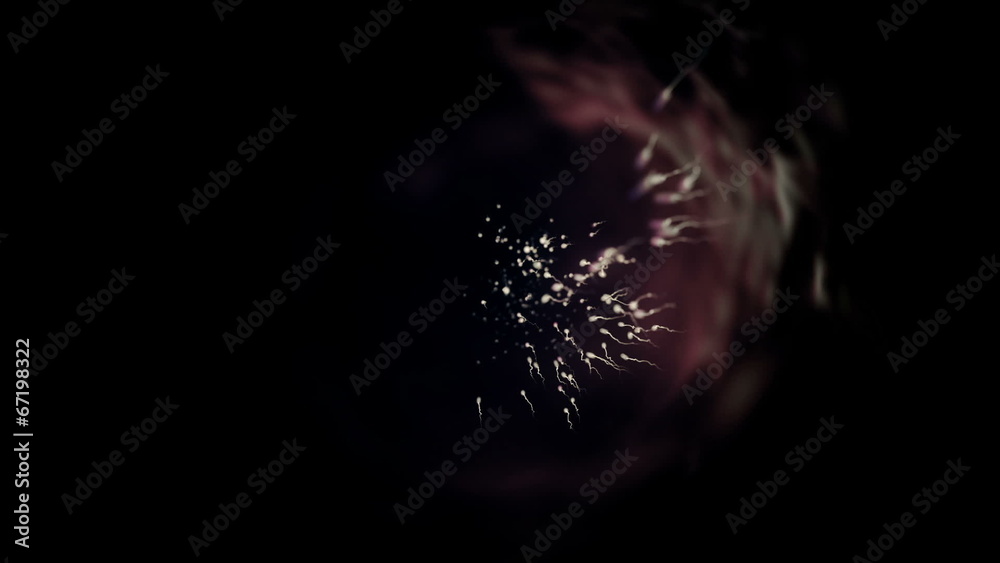 Sperm swimming past the camera and into oblivion.
