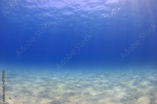 Underwater background - sunlight on ocean floor