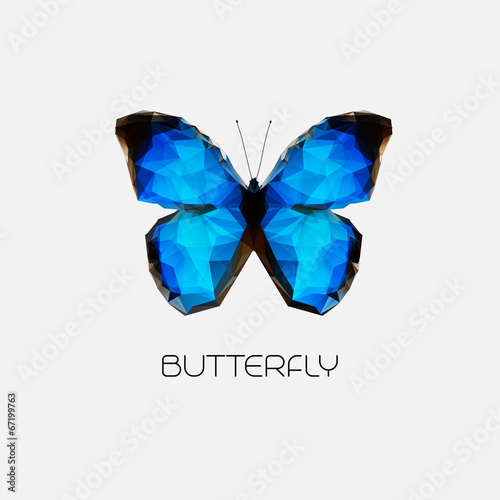 Photography Vector Abstract butterfly symbol
