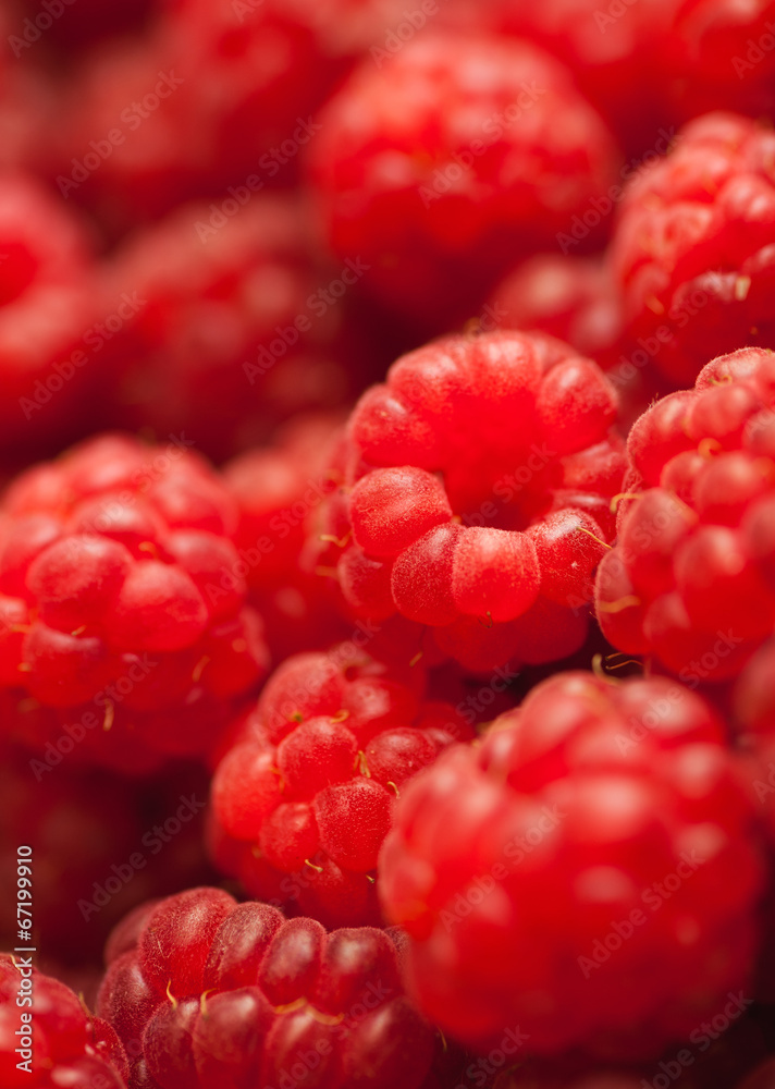 many red succulent raspberries backgrounds many red succulent raspberries backgrounds