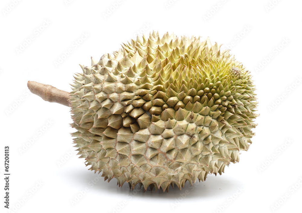 Durian Fruit