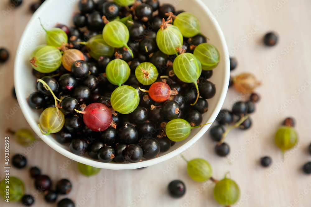 berries of black currant and gooseberry green in a white bowl, t berries of black currant and gooseberry green in a white bowl, t