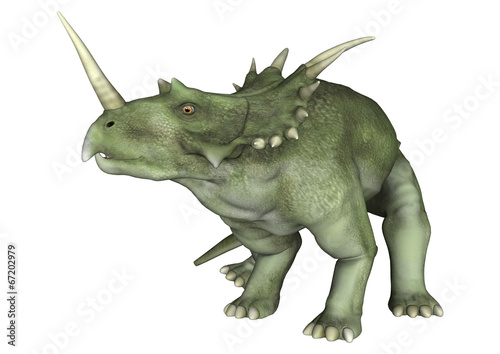 Dinosaur Styracosaurus © photosvac