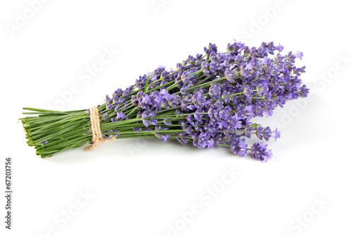 bunch of lavender isolated on white