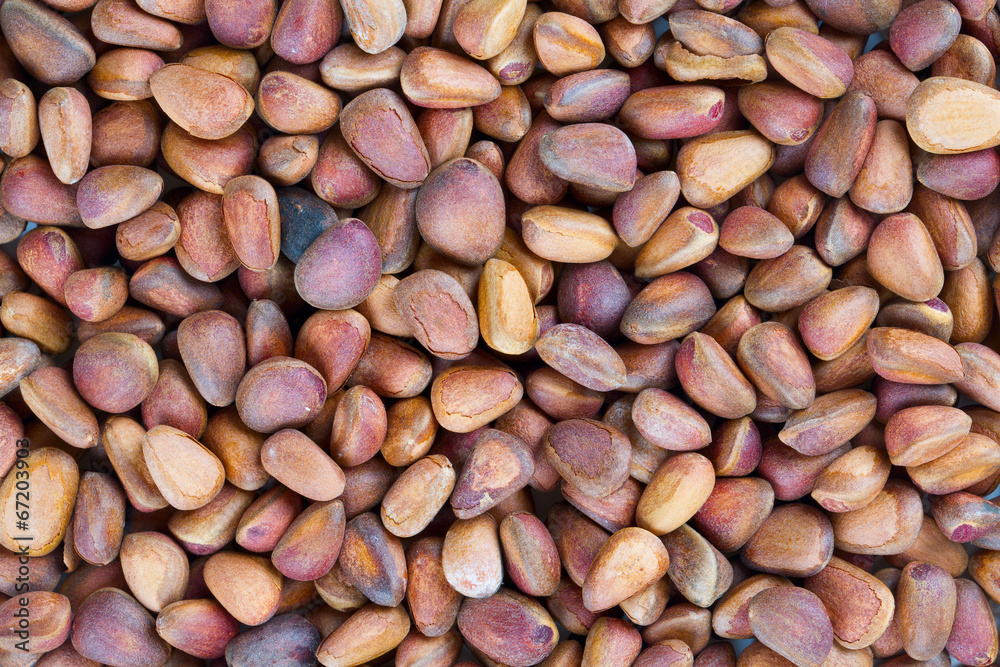 pine nuts background pine nuts background