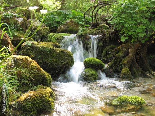wildbach