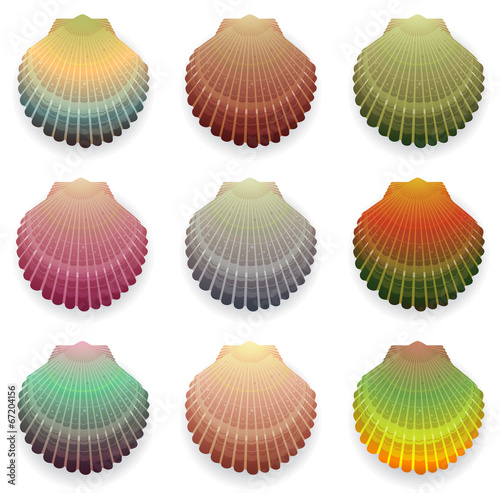 Cockleshells