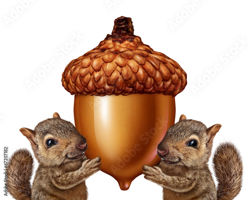 Squirrels Holding An Acorn photo