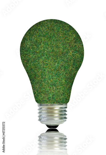 Green light bulb