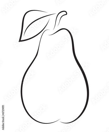 sketch of pear