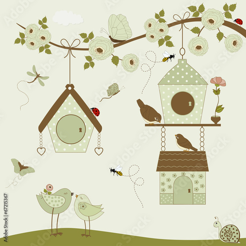 Cute birds with birdhouse