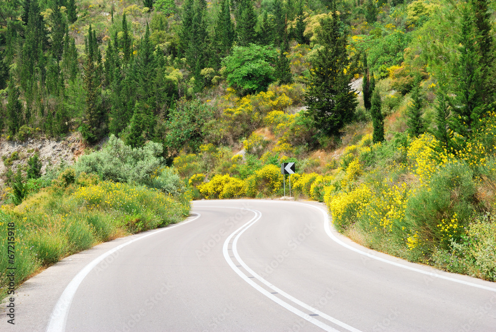 Fototapeta premium Asphalt road winding through flower hills with trees