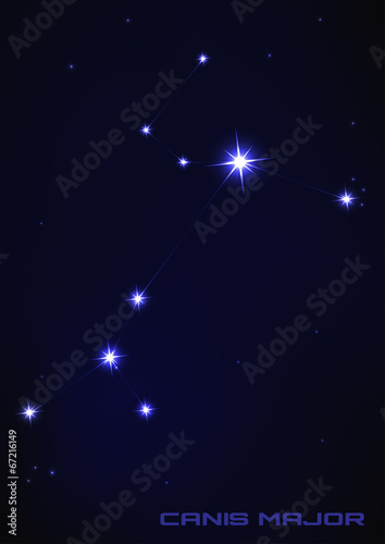 Canis major star constellation © pecorb