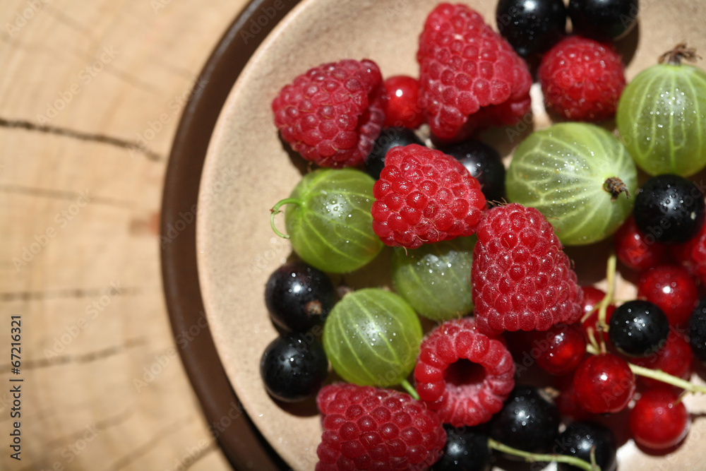 Obraz premium Berries