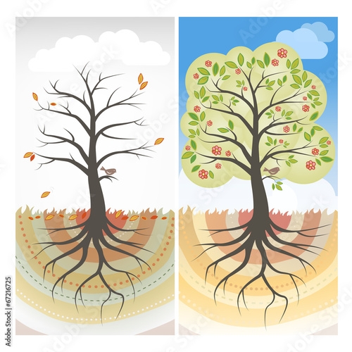 Seasons