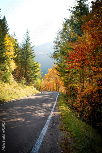 Road in autumn