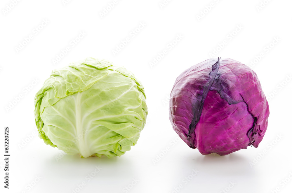 Obraz premium Cabbage isolated on white