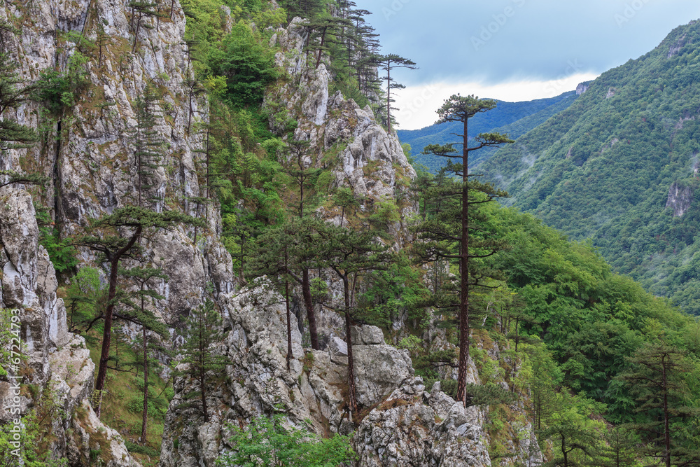 Tasnei Gorge, Romania