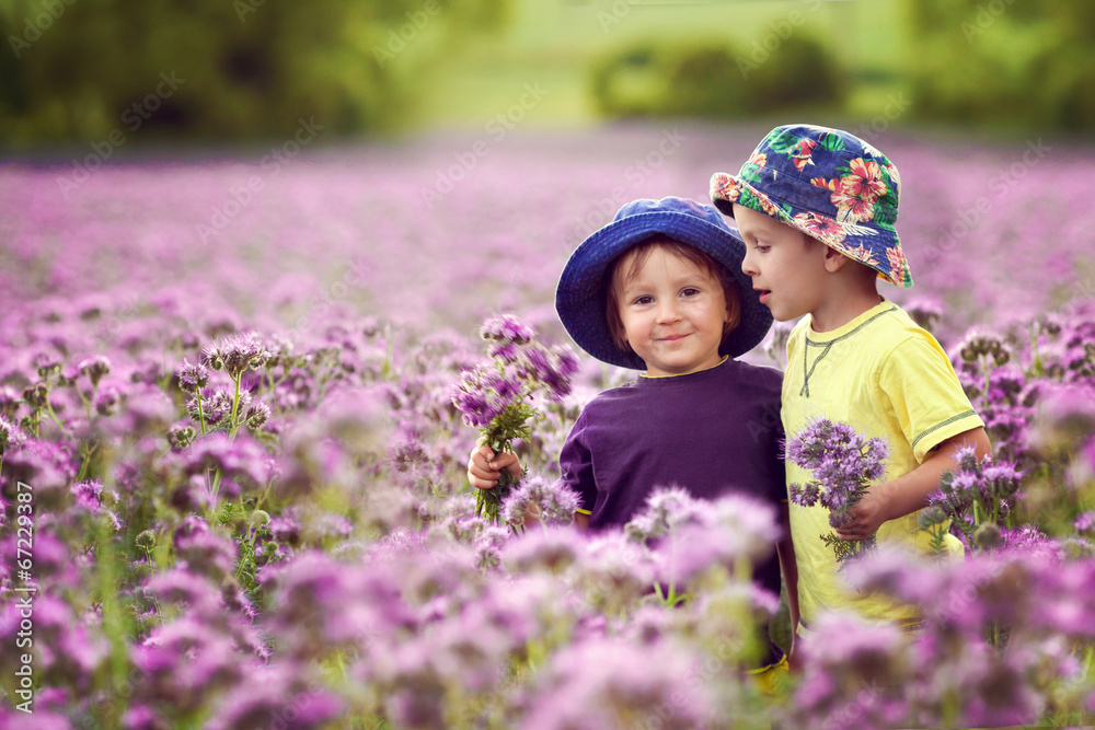 Adorable boys in purple field, holding flowers