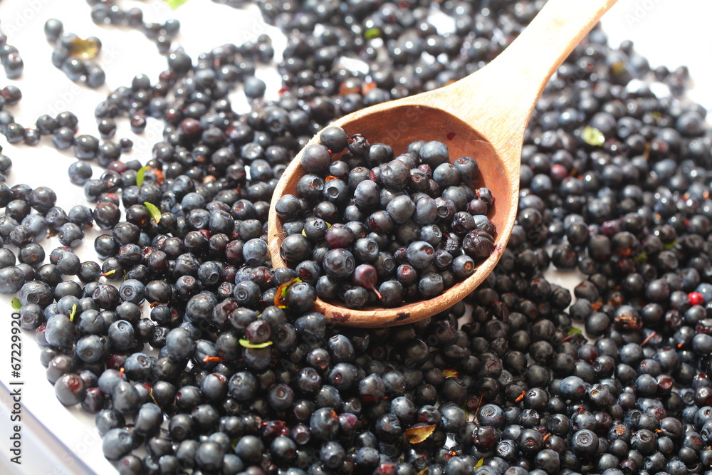wild berry blueberries in a wooden spoon wild berry blueberries in a wooden spoon